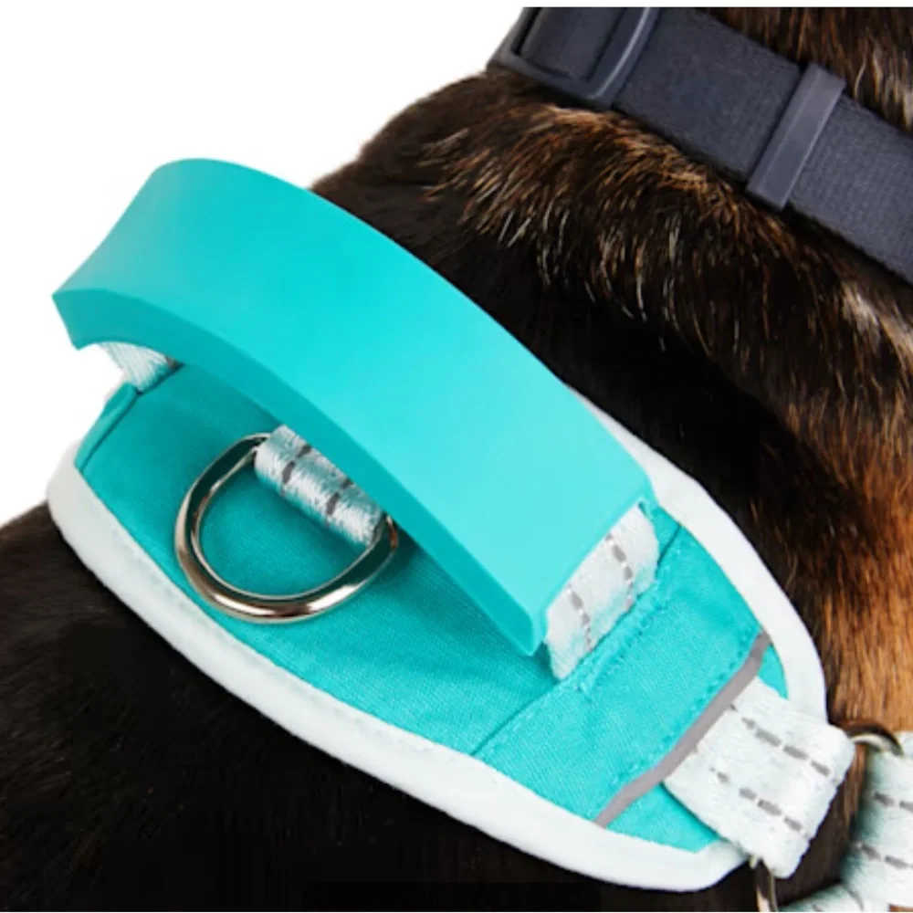 EveryYay Embrace the Pace Training Dog Harness Blue